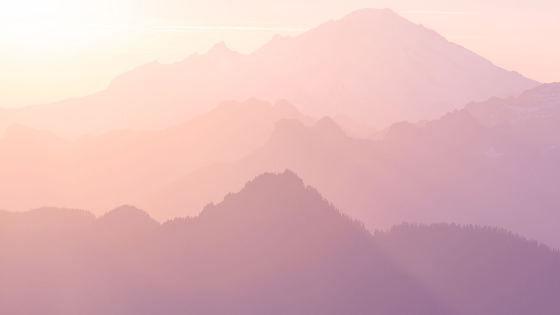 How to predict your own future
