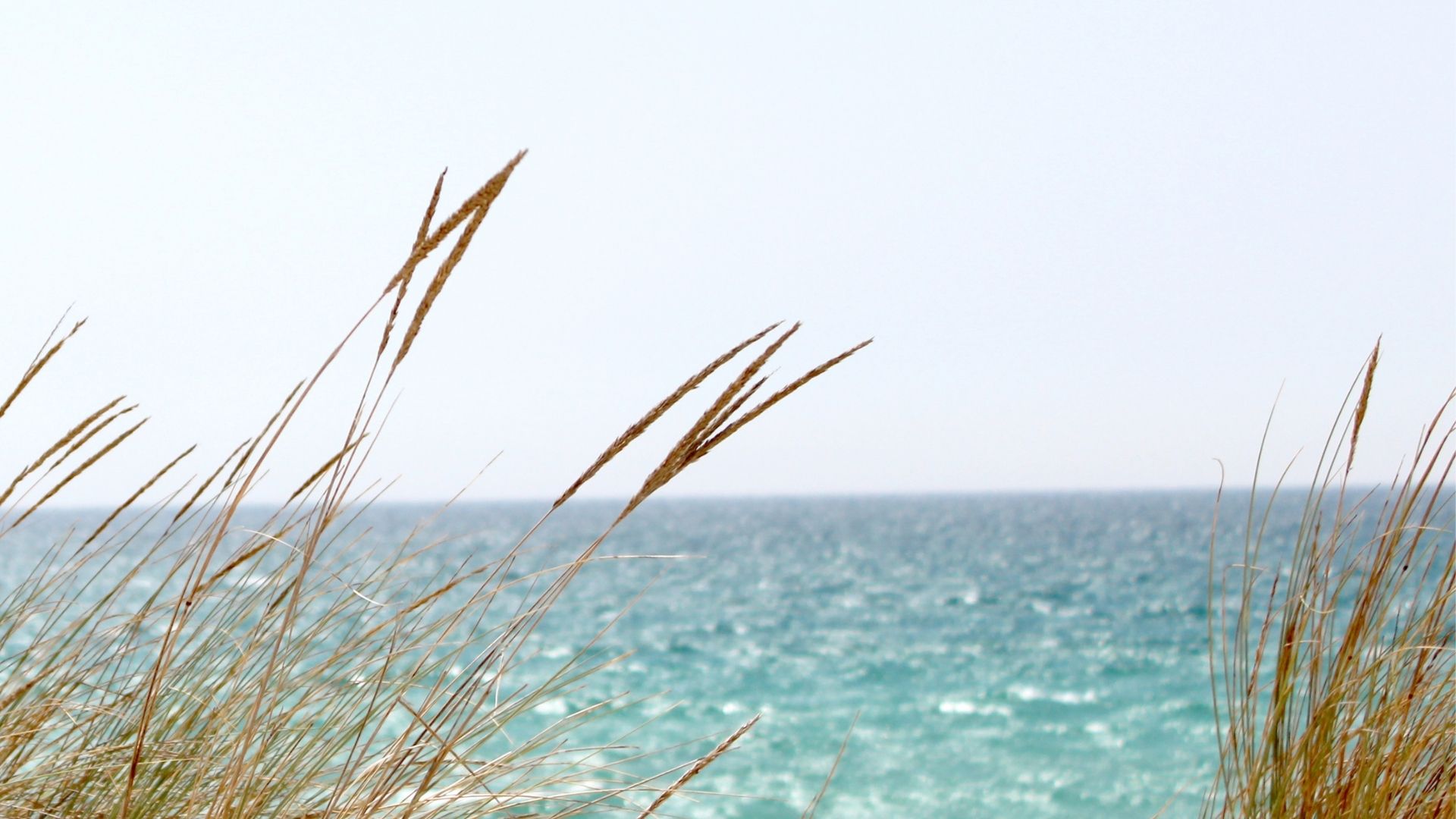 We're part of nature — so why do we behave so differently?