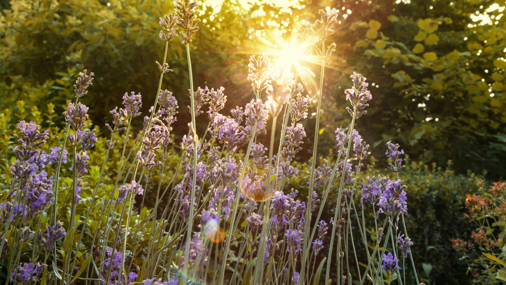What archetype are you? The 5 stages of intentional living