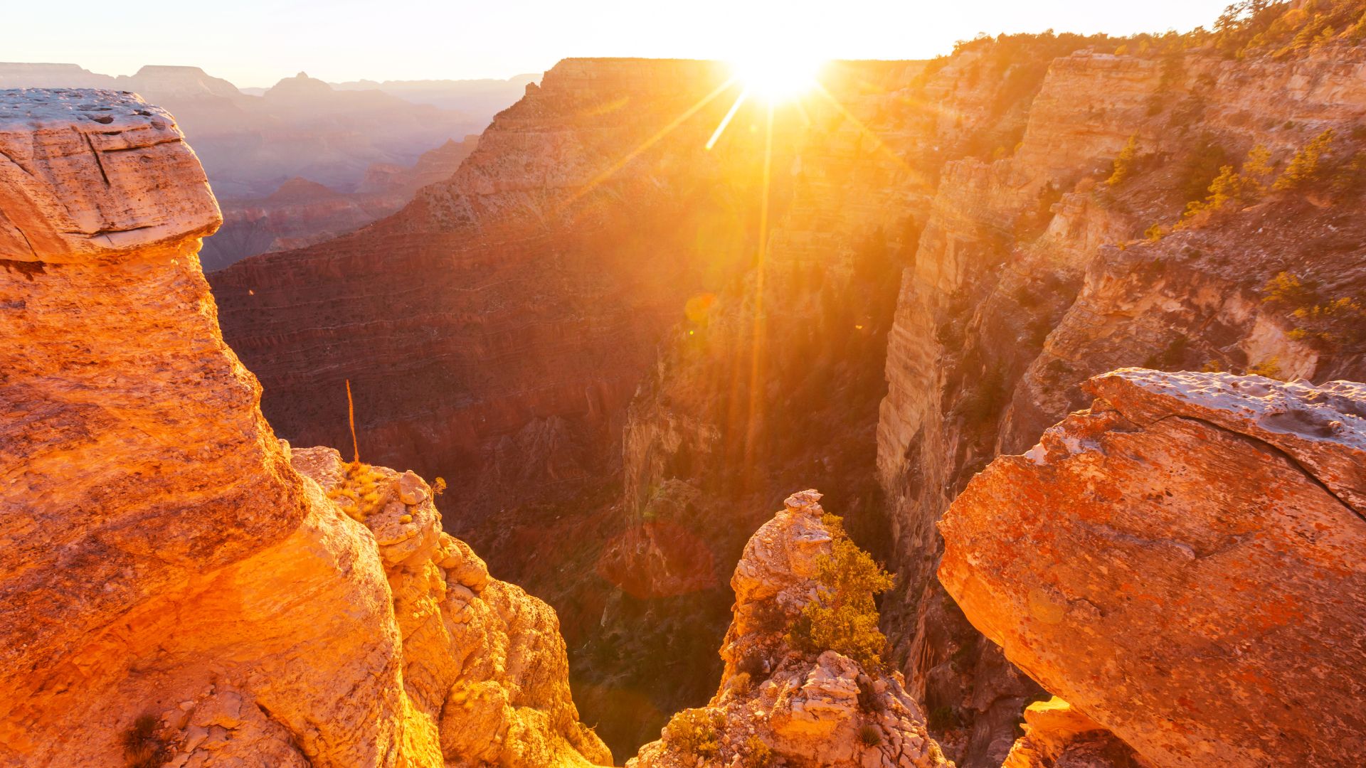 Curiosity, wisdom, and knowing when to let go