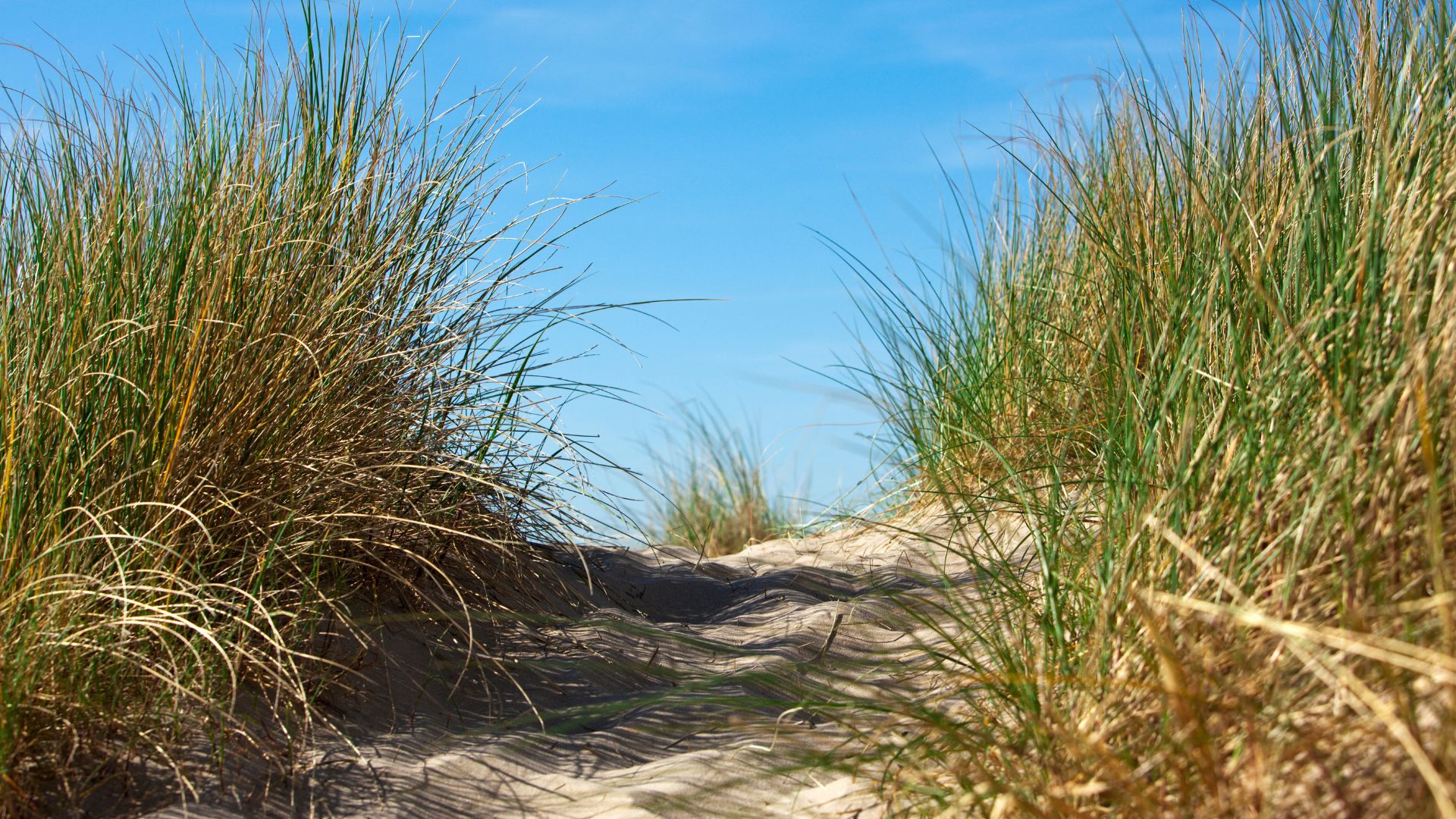 The hidden cost of being "fine"