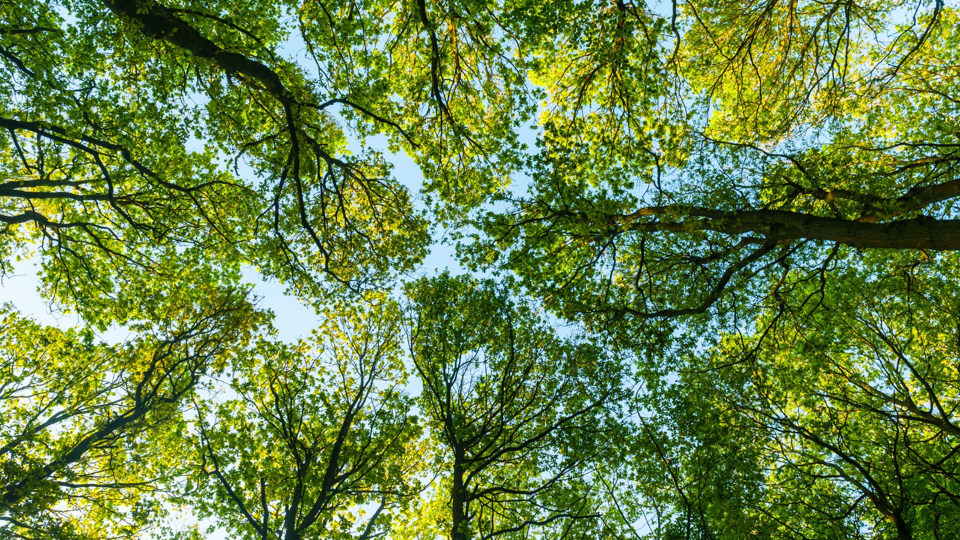 Freedom or victimhood: you get to choose