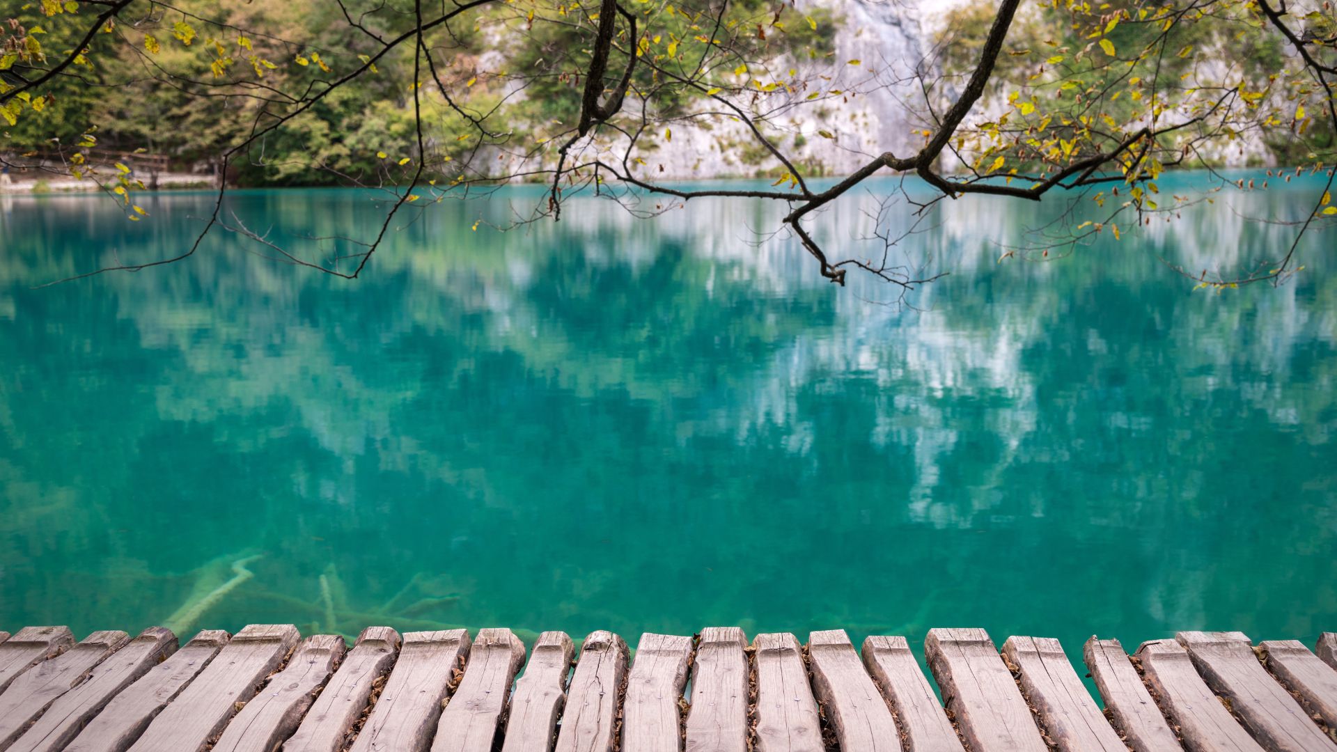 What is human flourishing? A practical and science-backed view