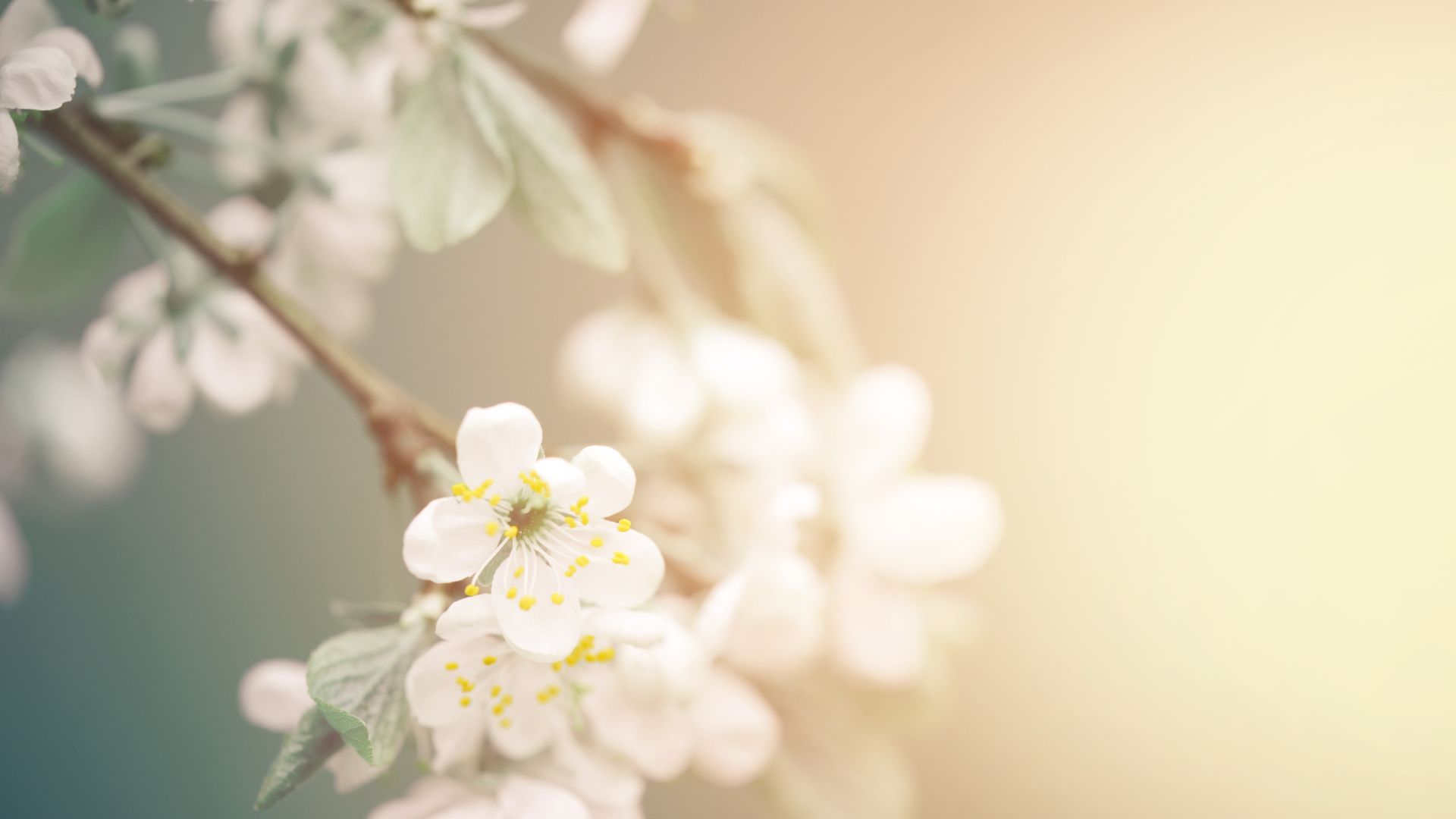 The benefits of daily meditation — and how to start a simple practice