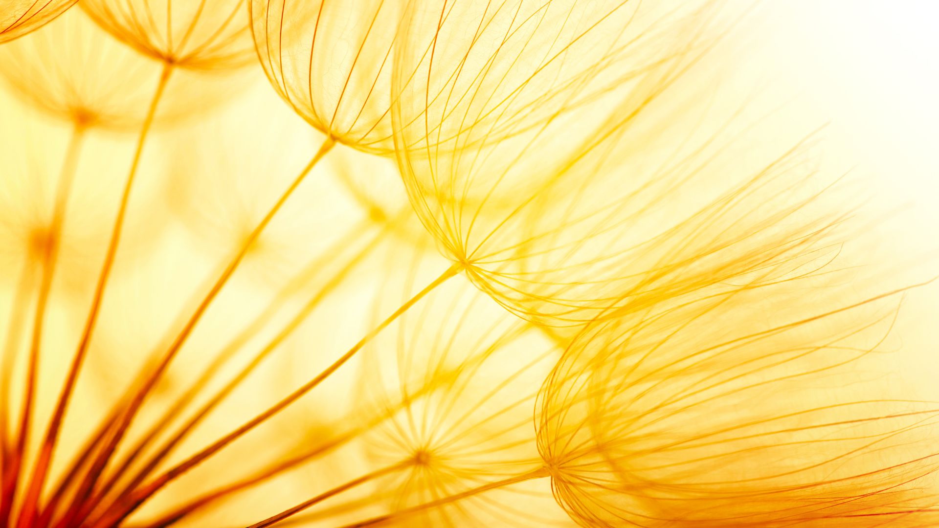 How to build a life that actually moves forward: your decisions