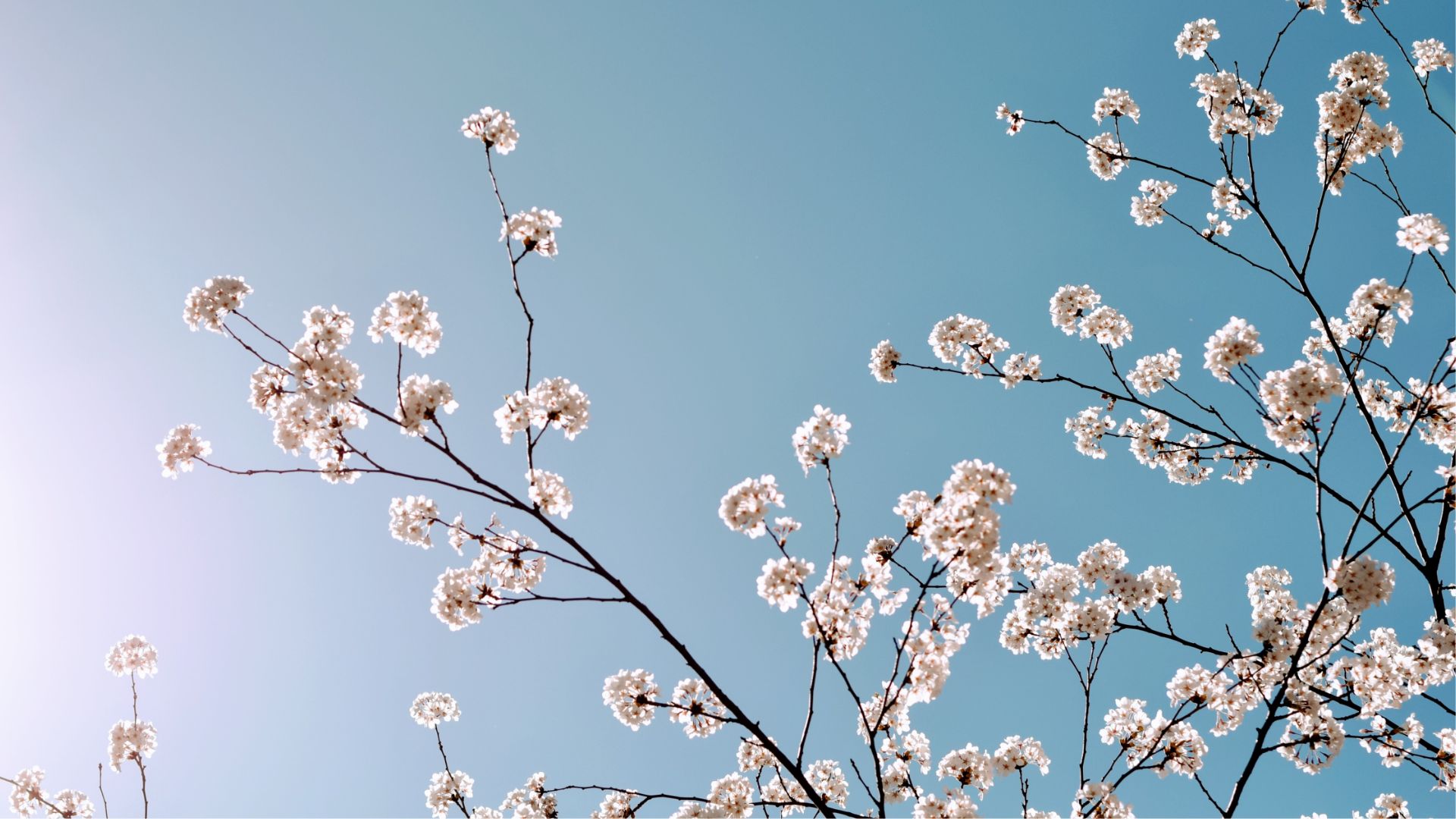 Does therapy actually work?