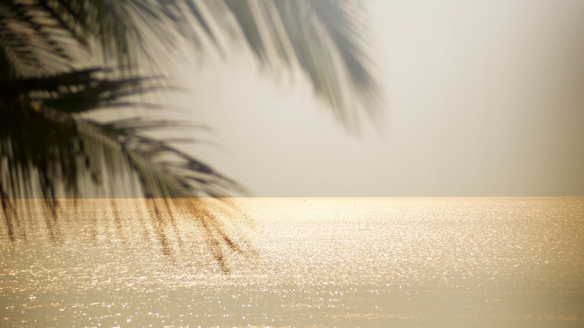 The last 3 weeks method: how to end your year with intention, not exhaustion
