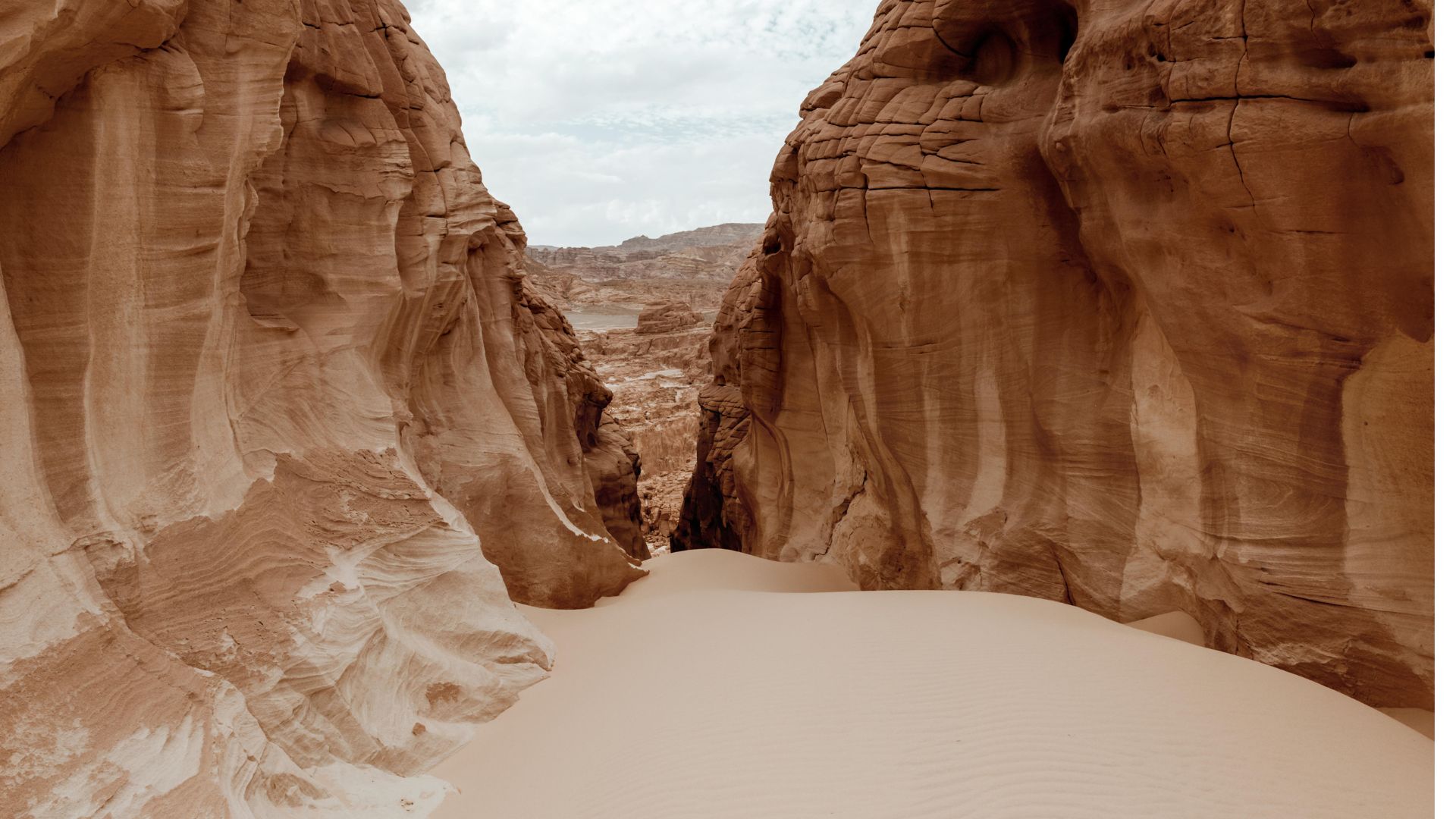 Obsession to habit: the neuroscience of change