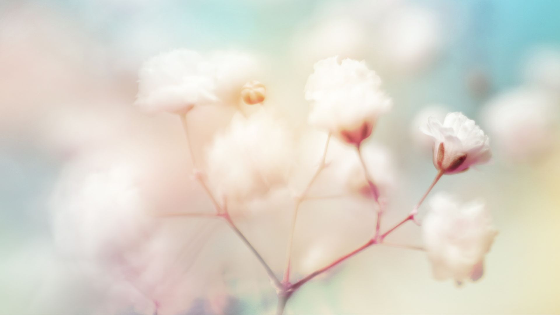 What is healthy closeness in a relationship?