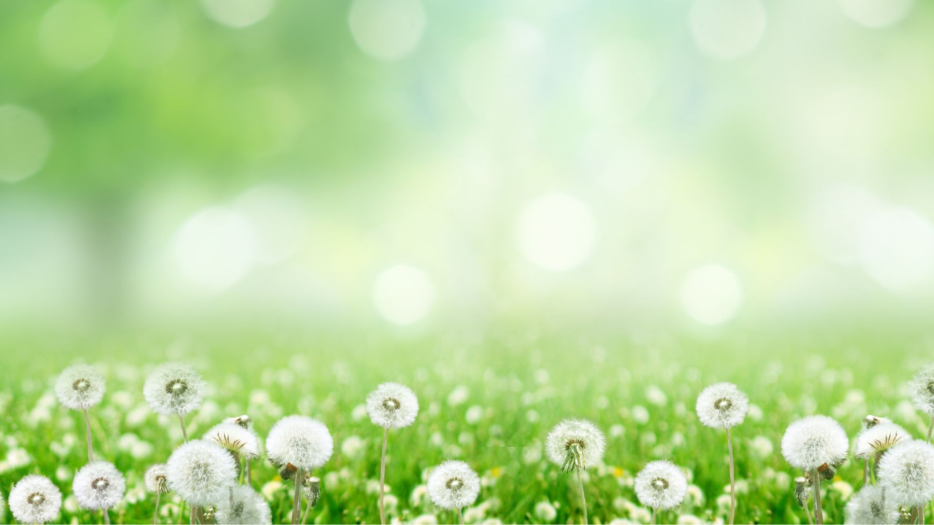 The science of goal setting