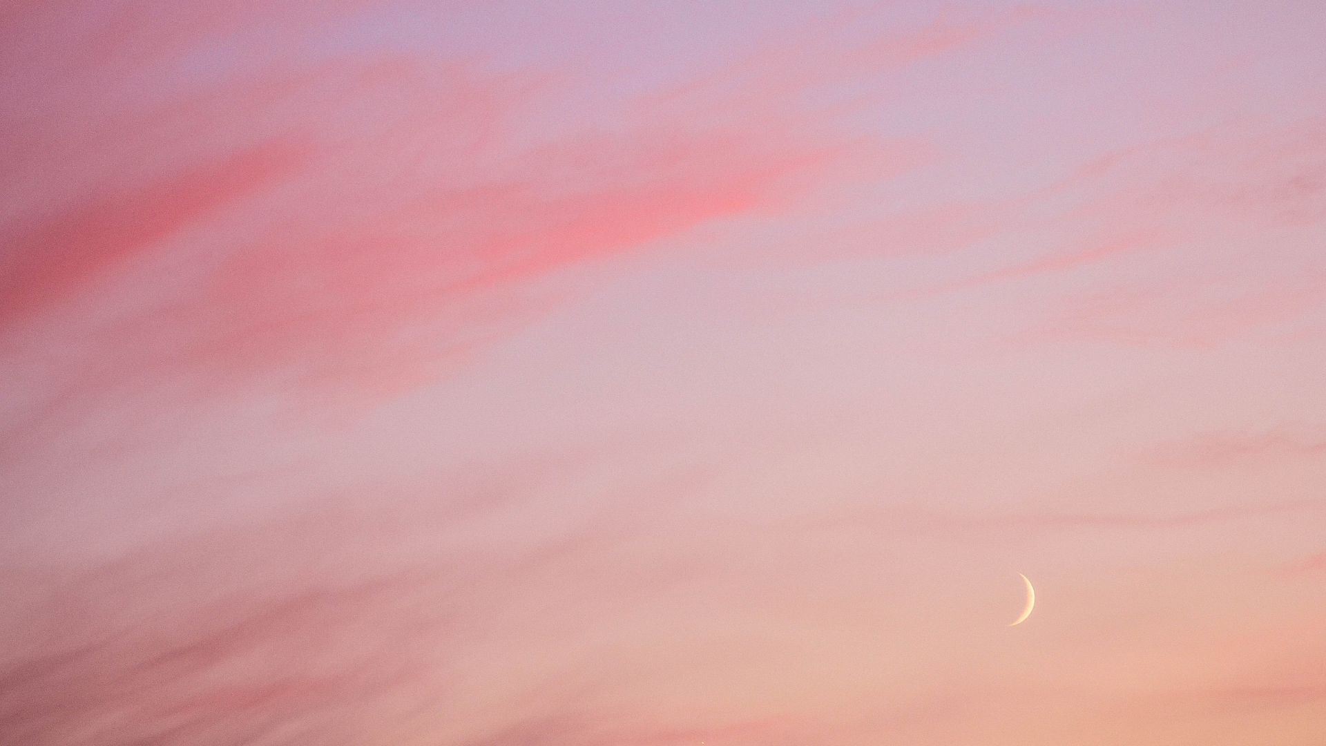 The four pillars of wellbeing